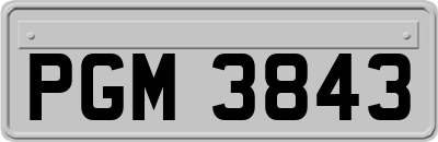 PGM3843