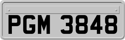 PGM3848