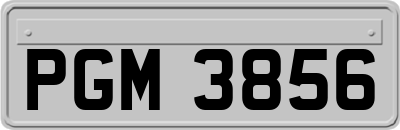PGM3856