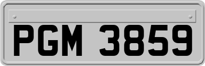 PGM3859