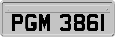 PGM3861