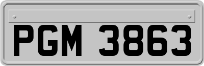 PGM3863
