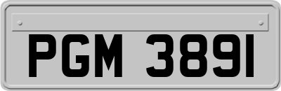 PGM3891