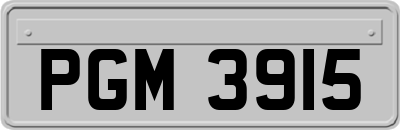 PGM3915