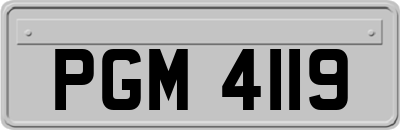 PGM4119
