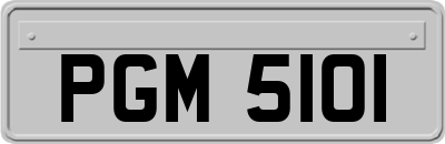 PGM5101