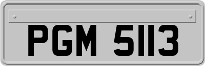 PGM5113