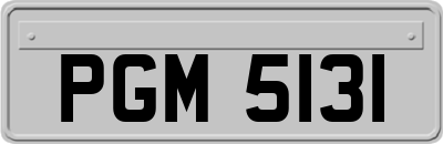 PGM5131