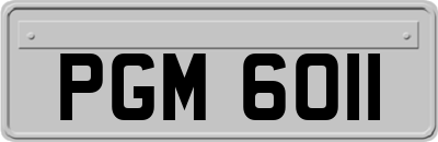PGM6011