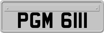 PGM6111