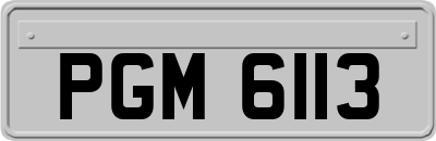 PGM6113