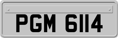 PGM6114