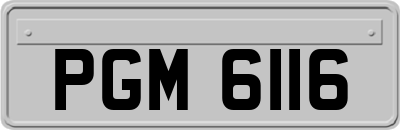 PGM6116