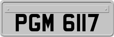 PGM6117