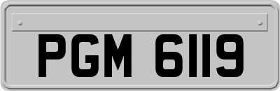 PGM6119