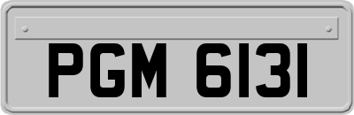 PGM6131