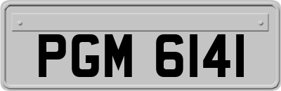 PGM6141