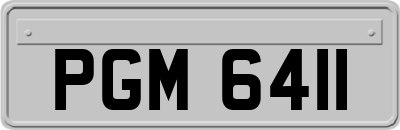 PGM6411