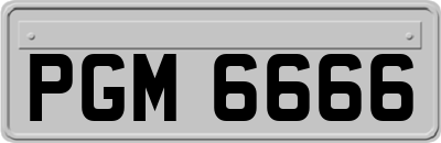 PGM6666