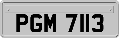 PGM7113
