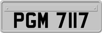 PGM7117
