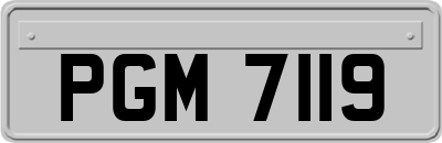 PGM7119