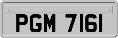 PGM7161