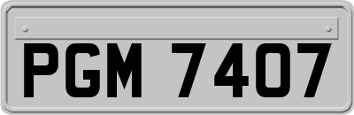 PGM7407