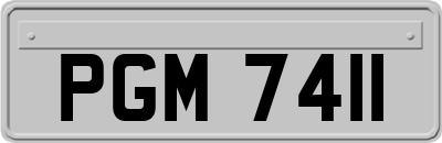 PGM7411