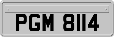PGM8114