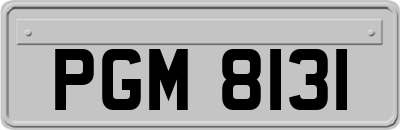 PGM8131