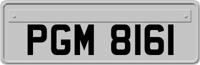 PGM8161