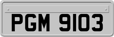 PGM9103