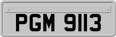 PGM9113
