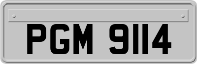 PGM9114