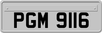 PGM9116