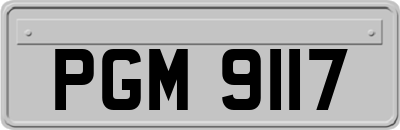 PGM9117