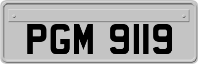 PGM9119