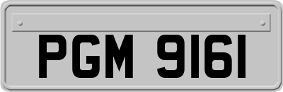 PGM9161
