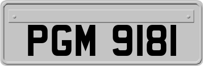 PGM9181