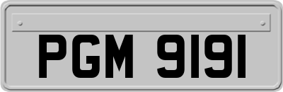 PGM9191