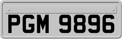 PGM9896