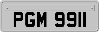 PGM9911