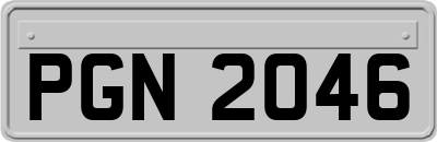 PGN2046