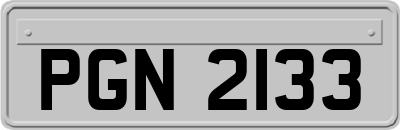 PGN2133