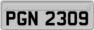 PGN2309