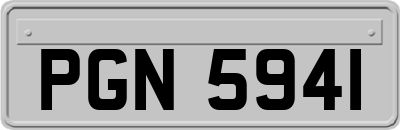 PGN5941