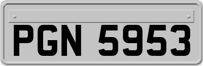 PGN5953