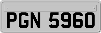 PGN5960