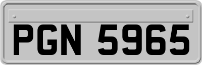 PGN5965